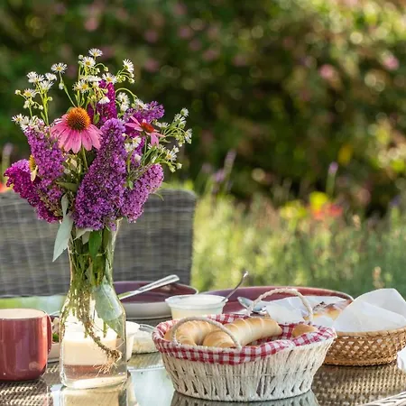 Kali Panorama Kishaz 아파트 *