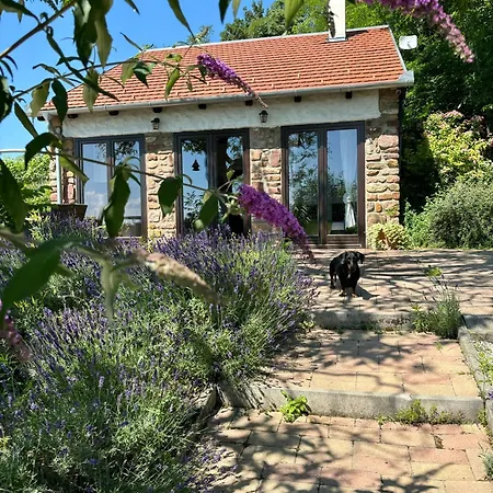 Kali Panorama Kishaz *