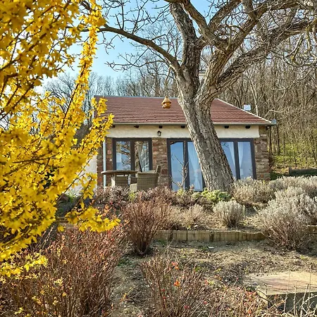 Kali Panorama Kishaz 아파트 *