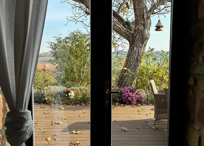 Kali Panorama Kishaz 아파트 *