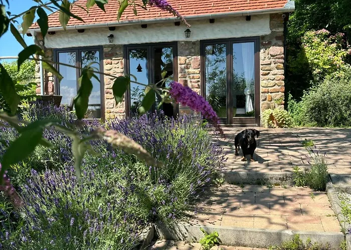 Kali Panorama Kishaz *