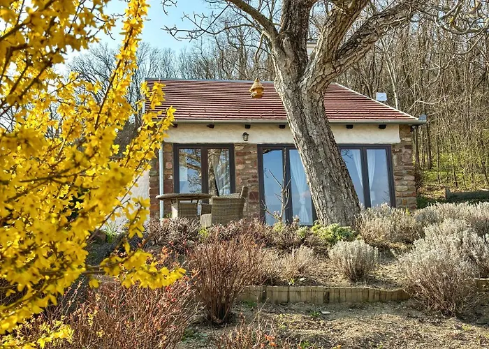 Kali Panorama Kishaz 아파트 *